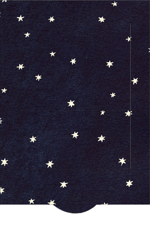Greeting Card - Shooting Star