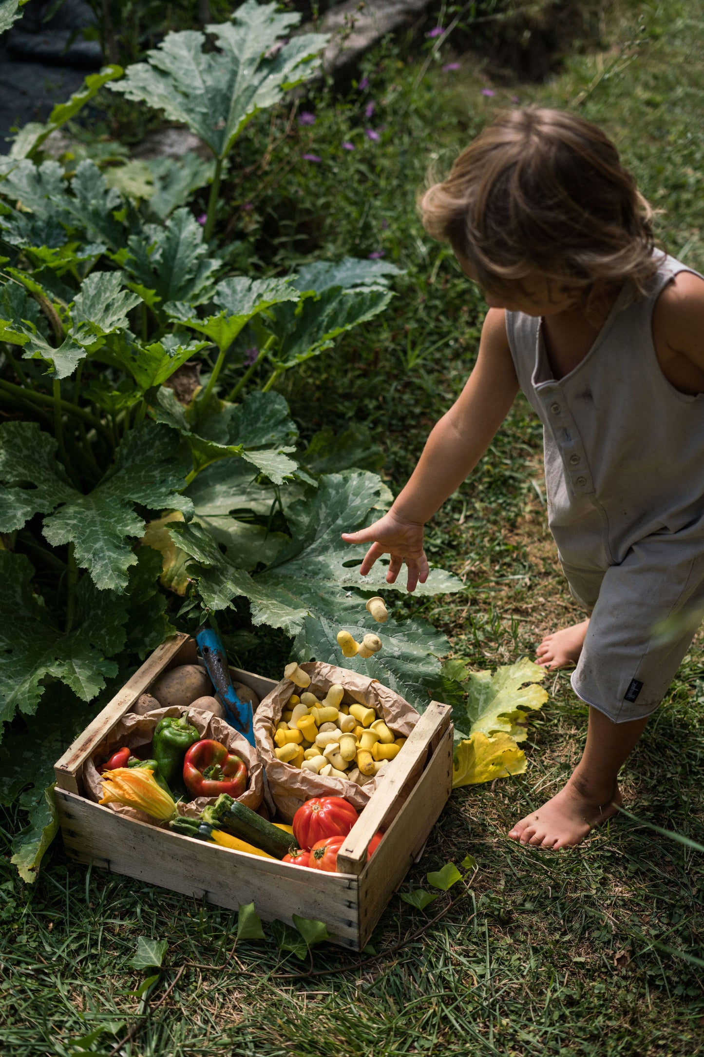A small child is throwing yellow wooden tulips into a crate of vegetables in a garden.