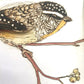 The Bush Birds - Children's Lift The Flap Book